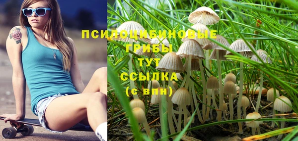 экстази Баксан