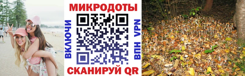Псилоцибиновые грибы Magic Shrooms  Звенигово 